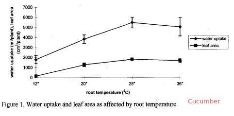 Какова идеальная температура питательного раствора в гидропонике? – Наука в гидропонике