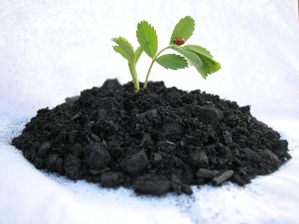Использование биоугля в гидропонике для повышения урожайности – Наука в гидропонике
