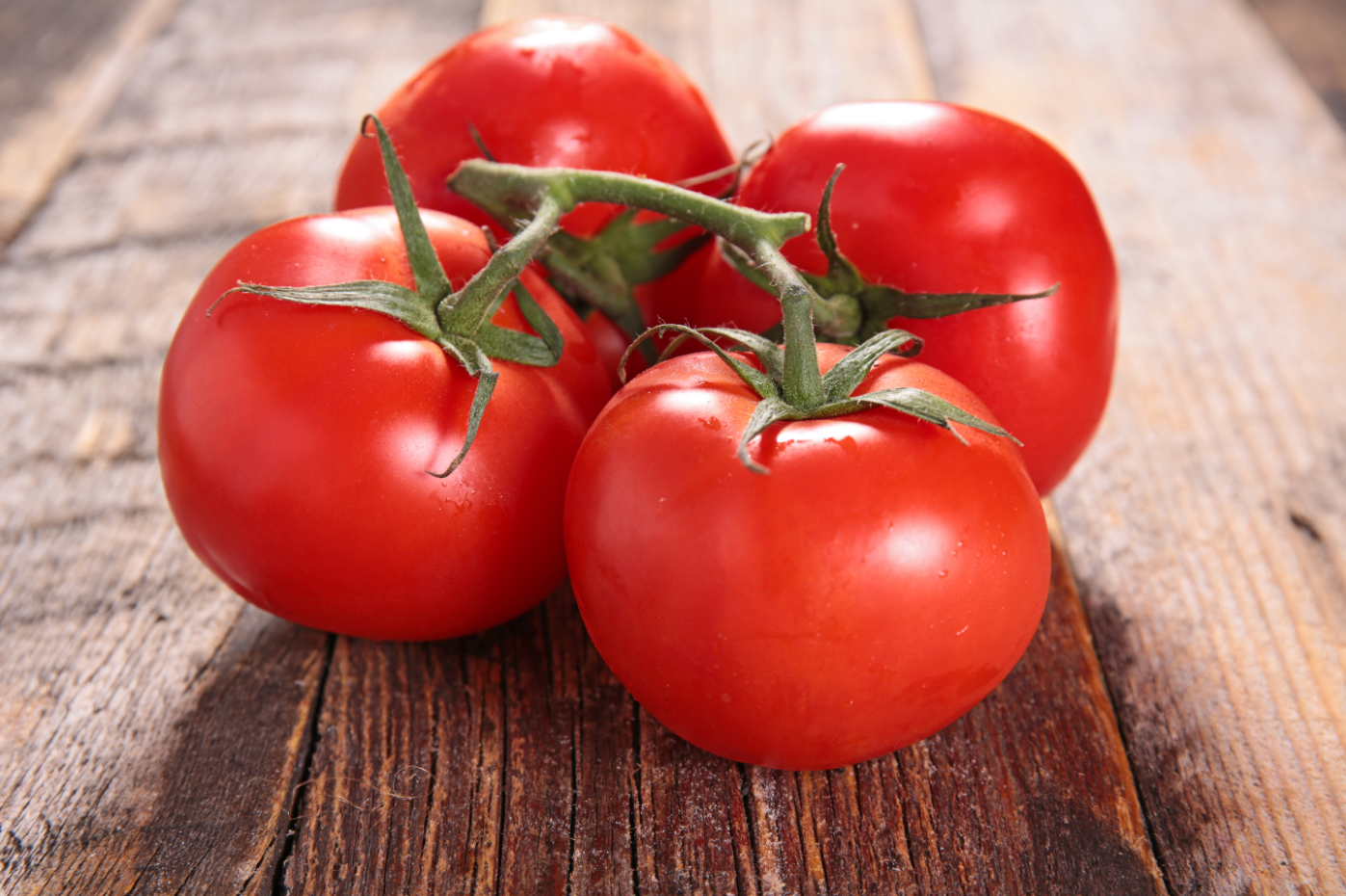 Ищете идеальный многоцелевой томат для своего сада? Вы нашли это с помощью Mountain Merit. Вкусные круглые фрукты… | Помидор, Овощи, Органические помидоры