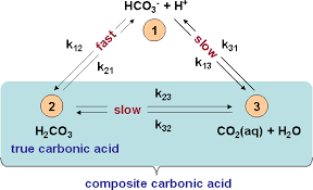Понимание буфера угольной кислоты / бикарбоната в гидропонике - Наука в гидропонике