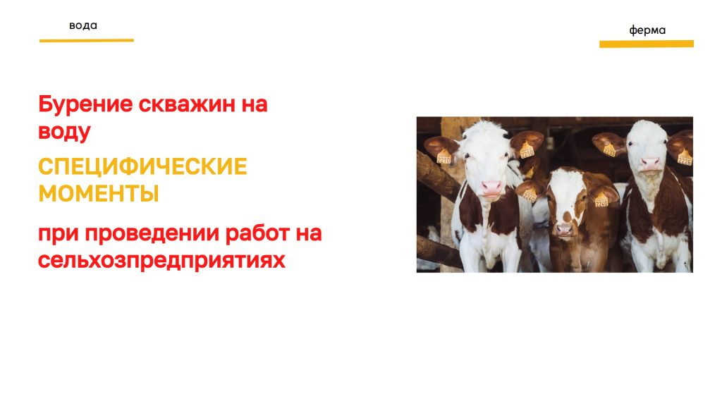 Скважиные водозаборы для сельхозпредприятий особенности организации буровых работ